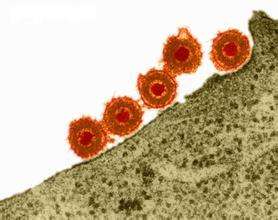 生殖器疱疹的症状特点有什么